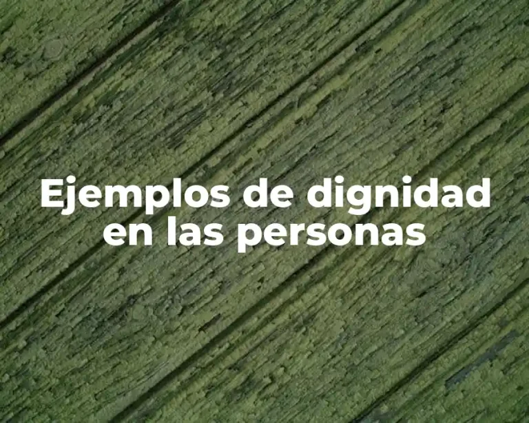 Ejemplos de dignidad en las personas