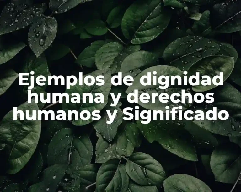 Ejemplos de dignidad humana y derechos humanos y Significado
