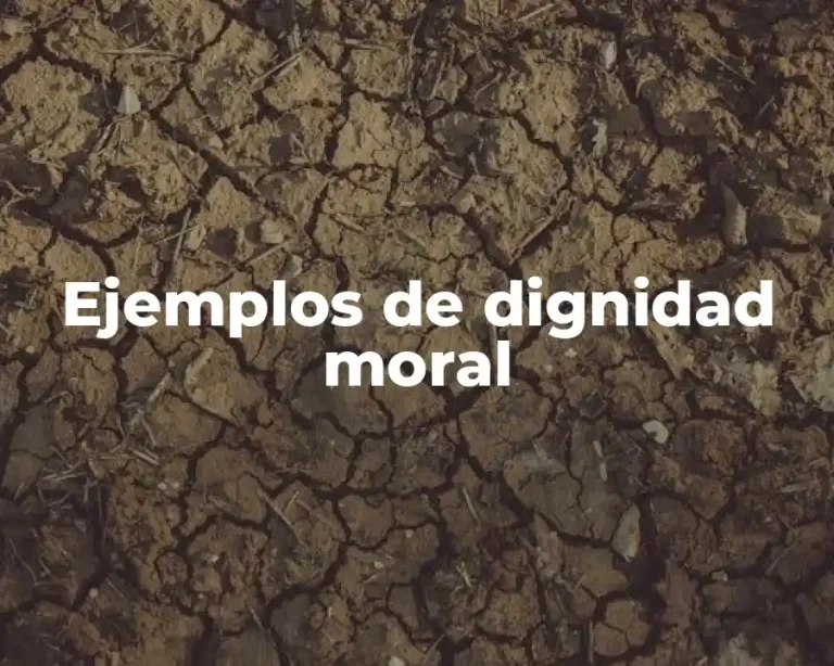 Ejemplos de dignidad moral