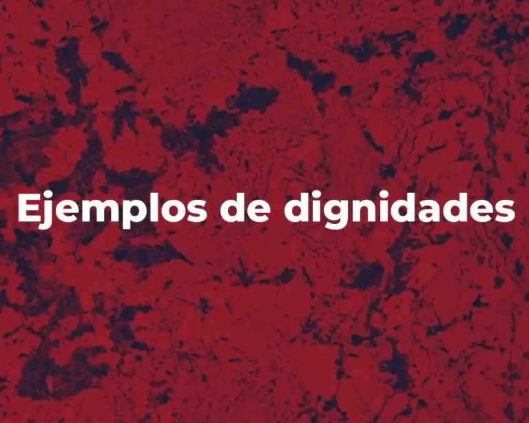 Ejemplos de dignidades