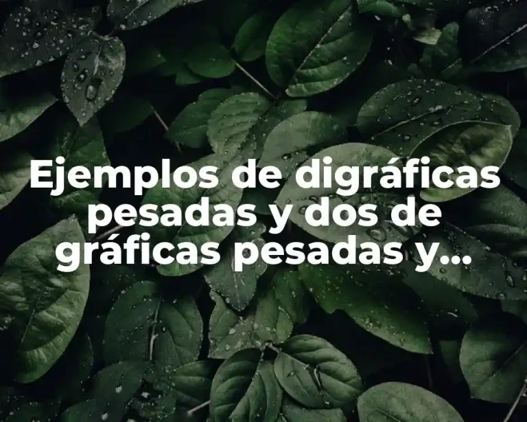 Ejemplos de digráficas pesadas y dos de gráficas pesadas y Significado