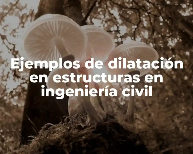 Ejemplos de dilatación en estructuras en ingeniería civil