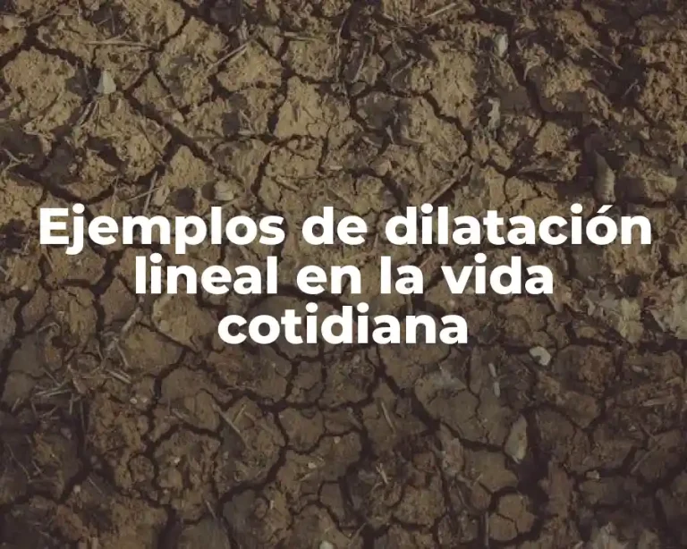 Ejemplos de dilatación lineal en la vida cotidiana