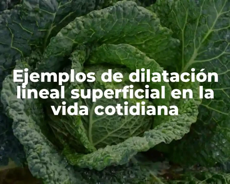 Ejemplos de dilatación lineal superficial en la vida cotidiana