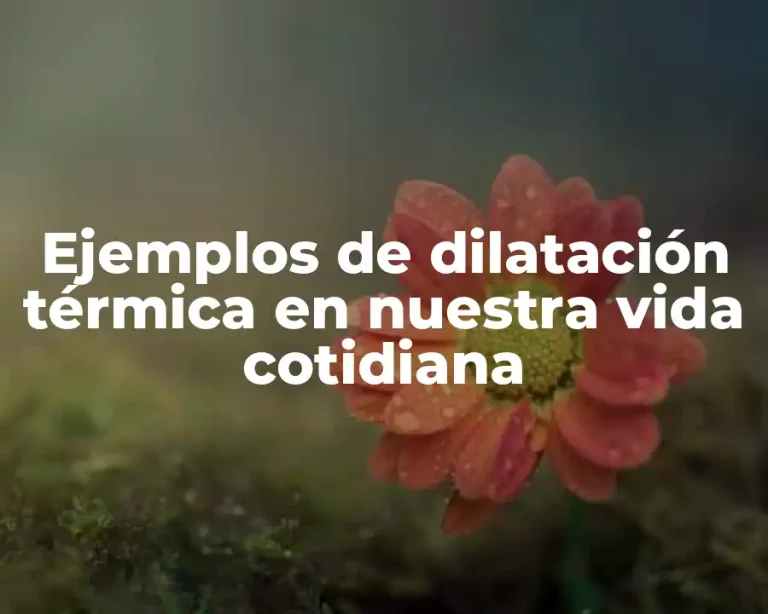 Ejemplos de dilatación térmica en nuestra vida cotidiana