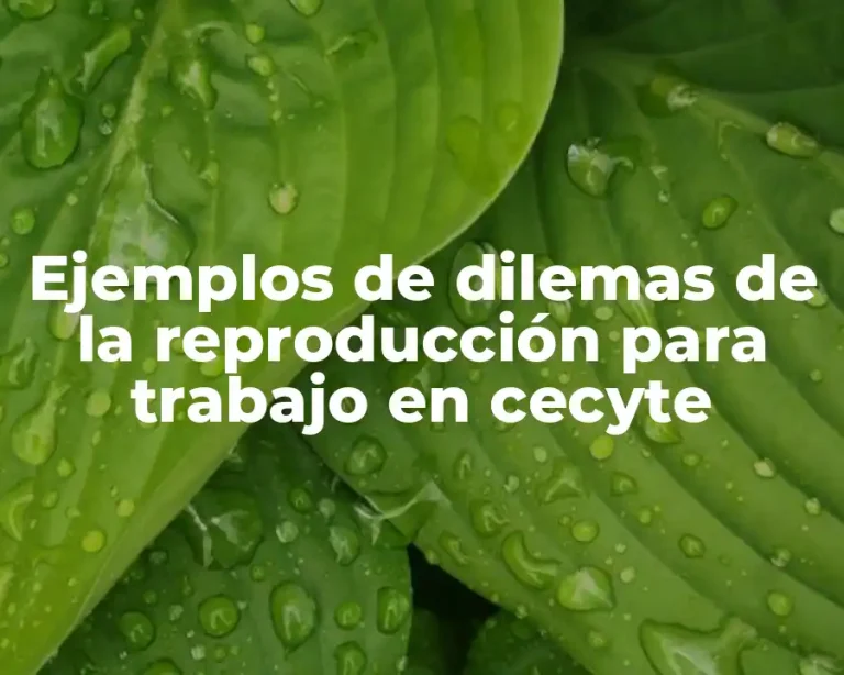 Ejemplos de dilemas de la reproducción para trabajo en cecyte