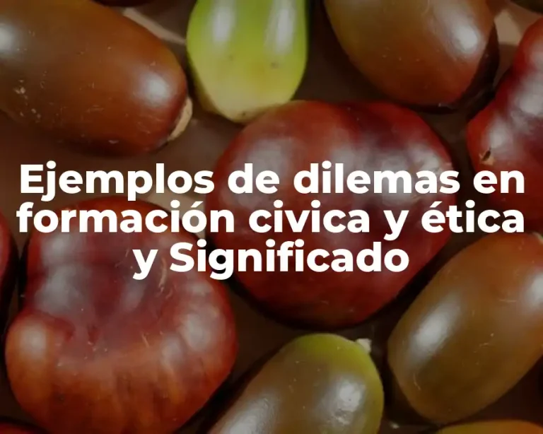 Ejemplos de dilemas en formación civica y ética y Significado