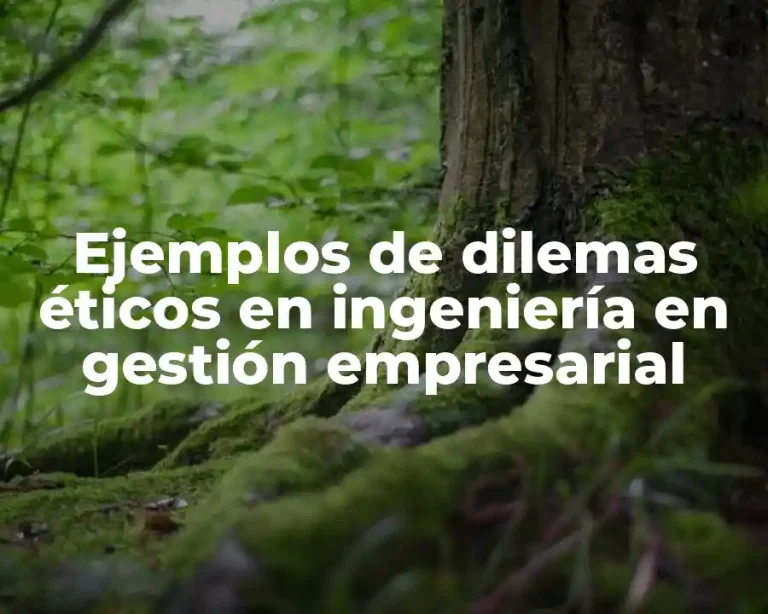 Ejemplos de dilemas éticos en ingeniería en gestión empresarial