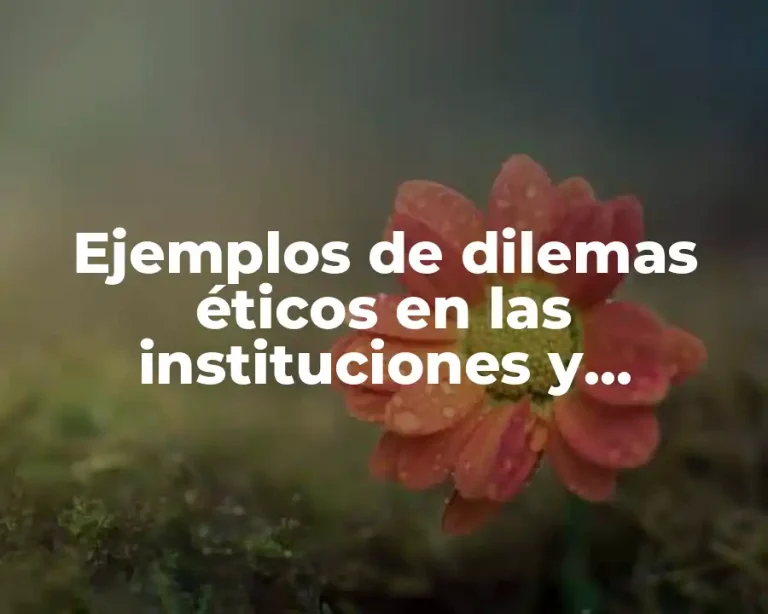 Ejemplos de dilemas éticos en las instituciones y organizaciones