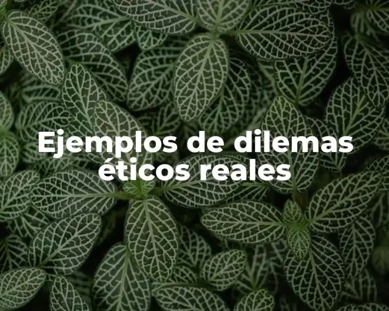 Ejemplos de dilemas éticos reales