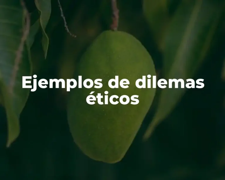 Ejemplos de dilemas éticos