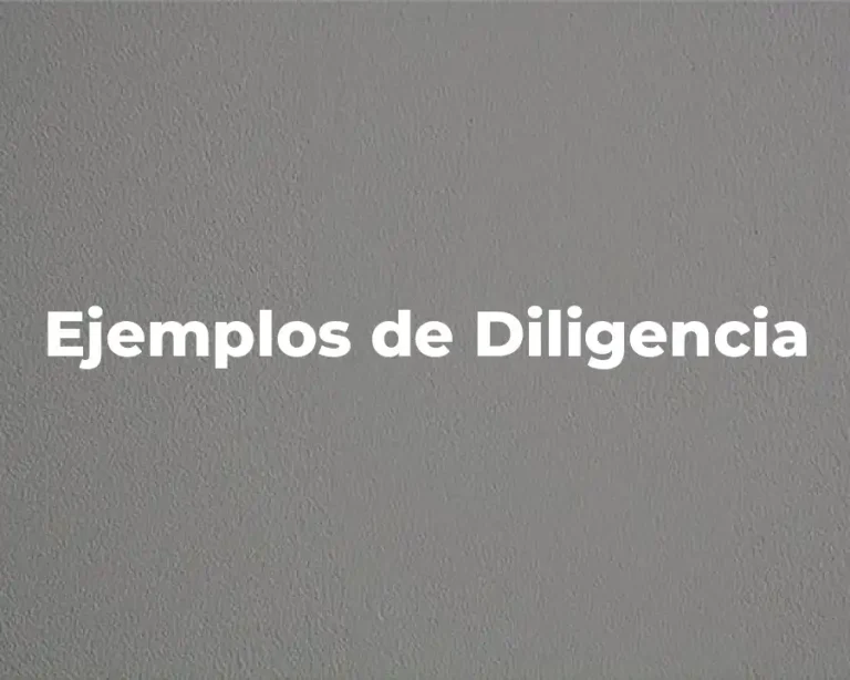 Ejemplos de Diligencia