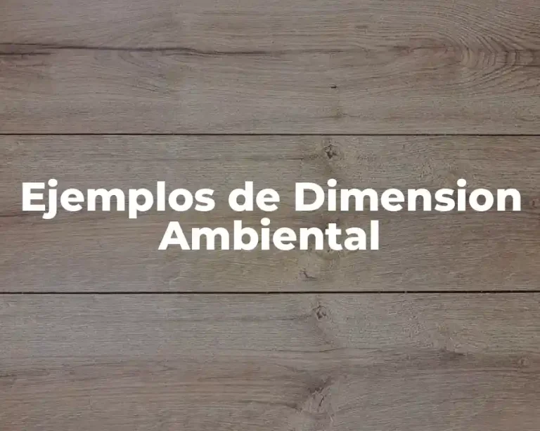 Ejemplos de Dimension Ambiental