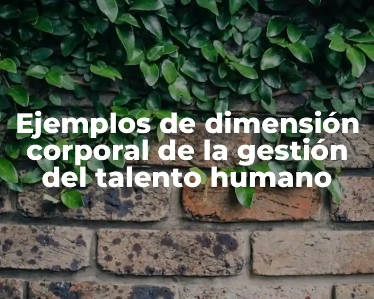 Ejemplos de dimensión corporal de la gestión del talento humano