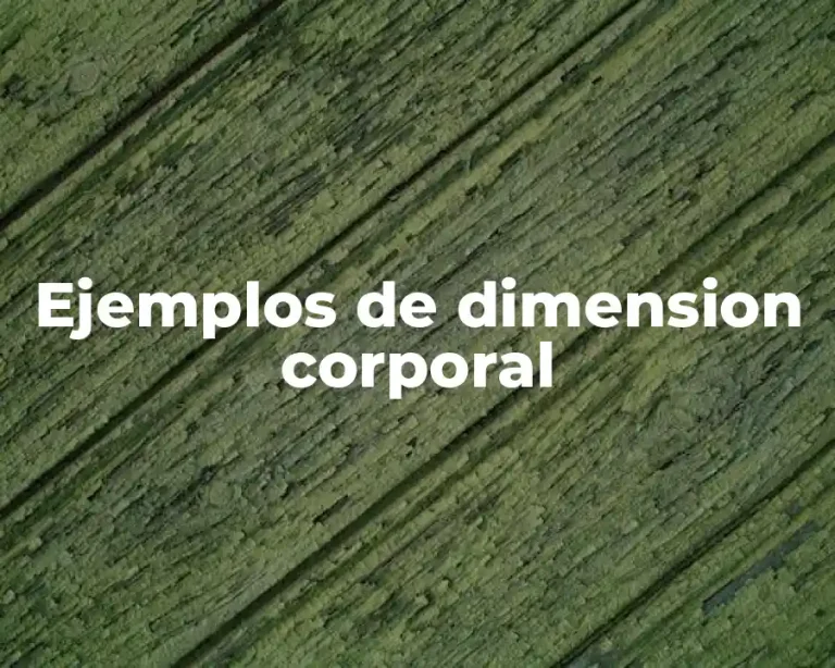 Ejemplos de dimension corporal