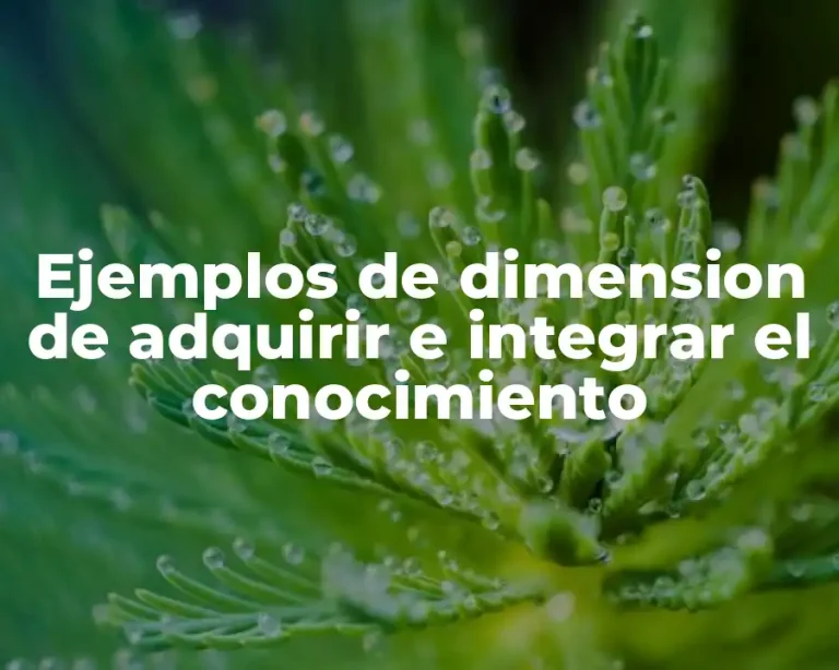 Ejemplos de dimension de adquirir e integrar el conocimiento