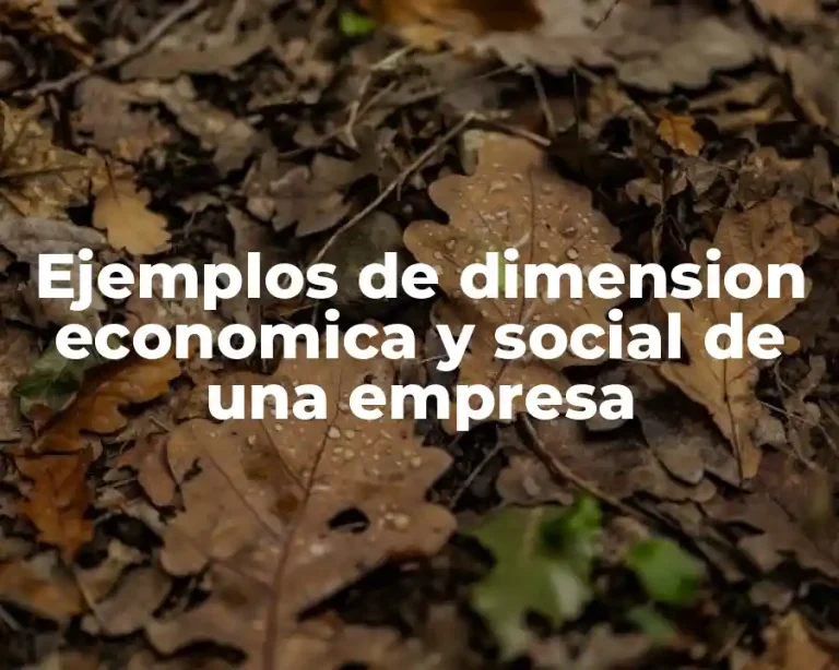 Ejemplos de dimension economica y social de una empresa