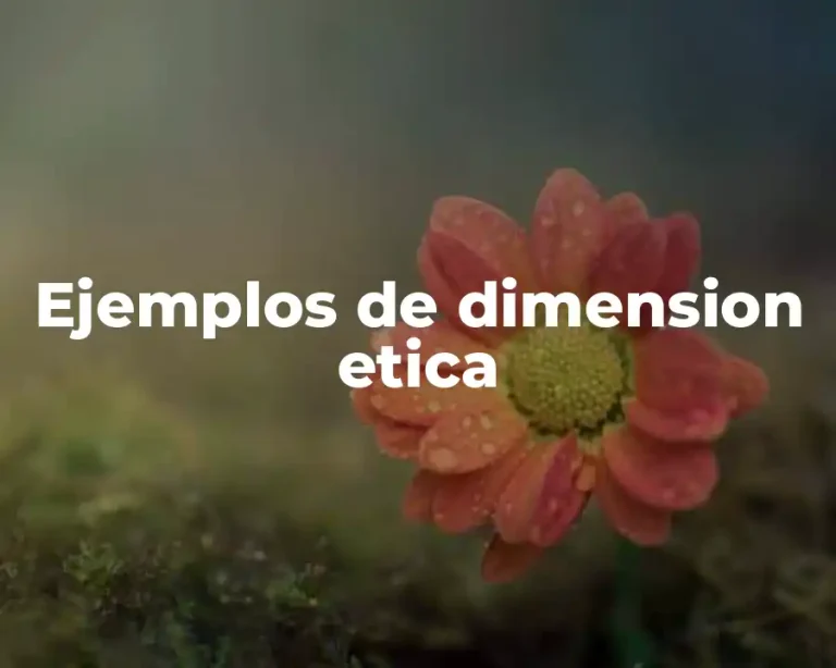 Ejemplos de dimension etica
