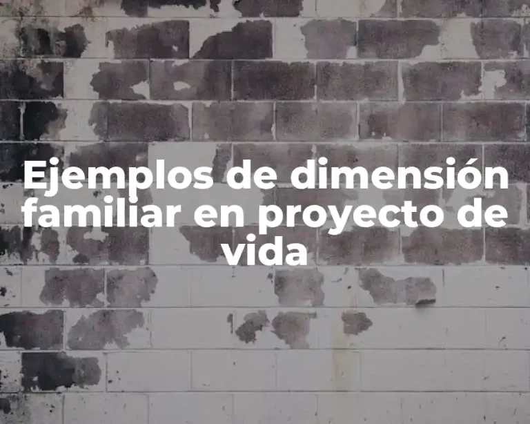 Ejemplos de dimensión familiar en proyecto de vida