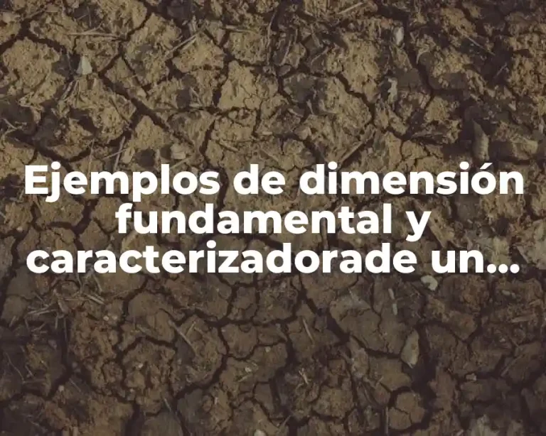 Ejemplos de dimensión fundamental y caracterizadorade un personaje