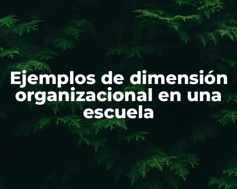 Ejemplos de dimensión organizacional en una escuela
