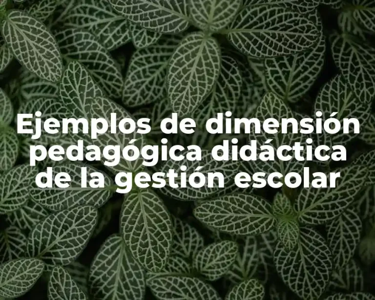 Ejemplos de dimensión pedagógica didáctica de la gestión escolar