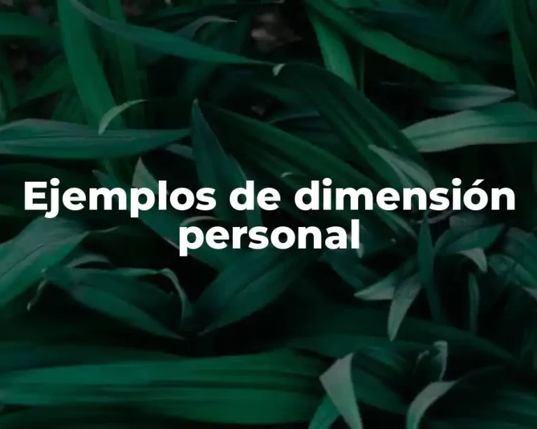 Ejemplos de dimensión personal