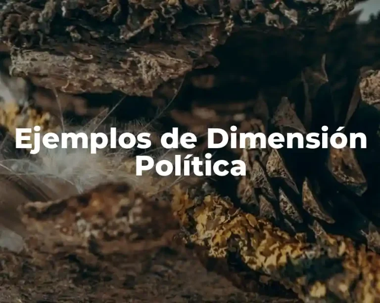 Ejemplos de Dimensión Política