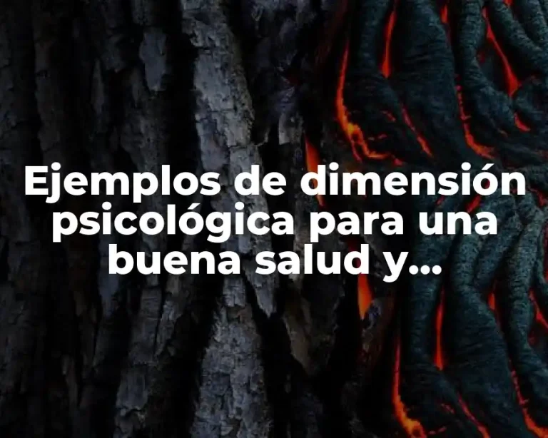 Ejemplos de dimensión psicológica para una buena salud y Significado