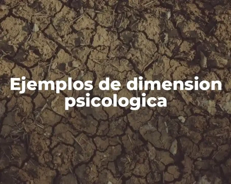Ejemplos de dimension psicologica