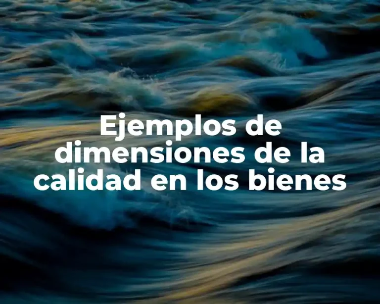 Ejemplos de dimensiones de la calidad en los bienes