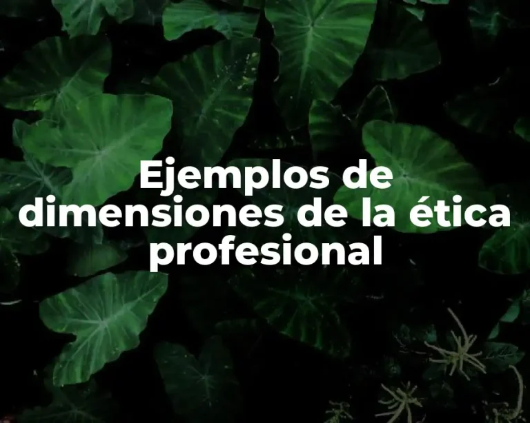 Ejemplos de dimensiones de la ética profesional