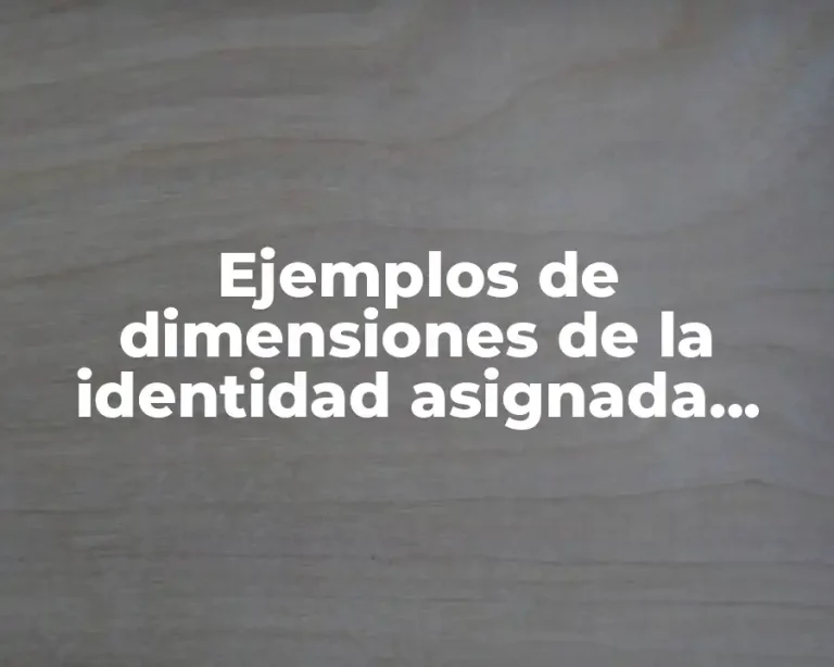 Ejemplos de dimensiones de la identidad asignada, adquirida e