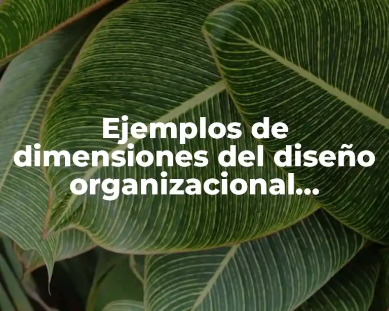 Ejemplos de dimensiones del diseño organizacional estructurales