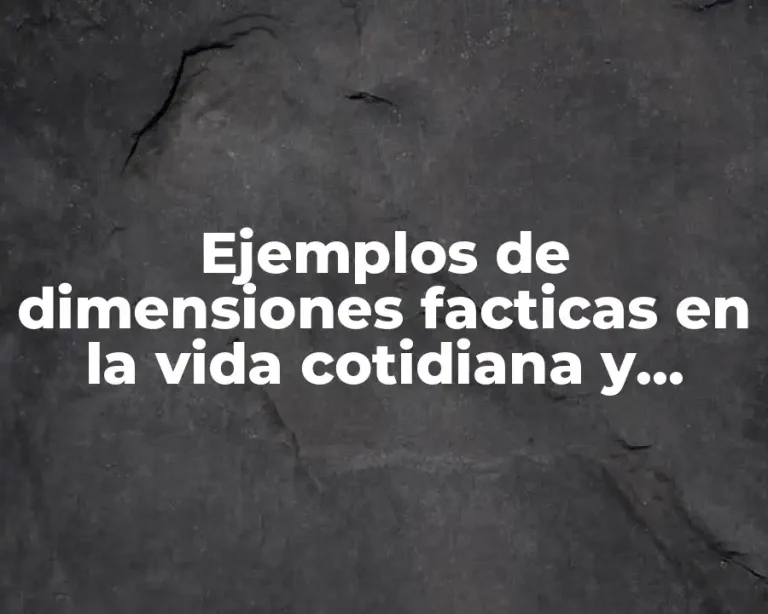 Ejemplos de dimensiones facticas en la vida cotidiana y Significado