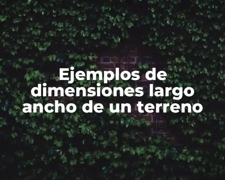 Ejemplos de dimensiones largo ancho de un terreno
