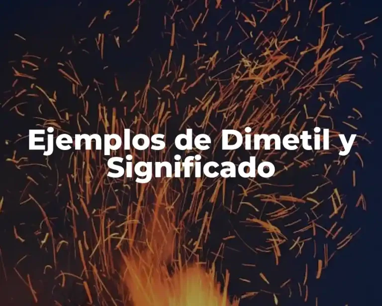 Ejemplos de Dimetil y Significado