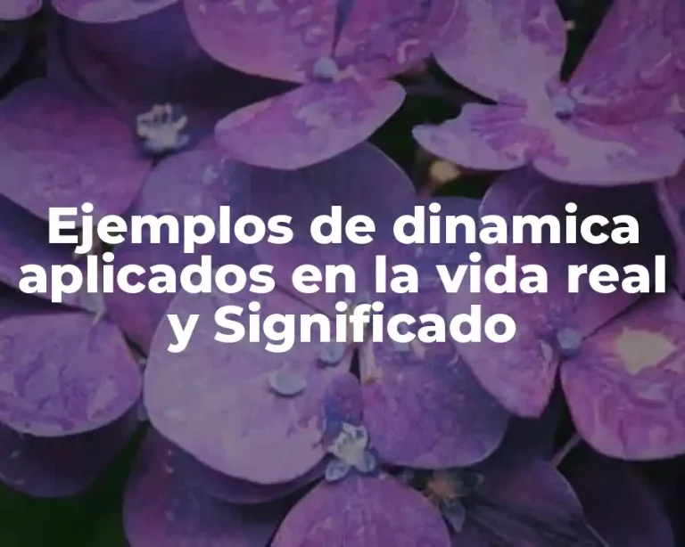 Ejemplos de dinamica aplicados en la vida real y Significado