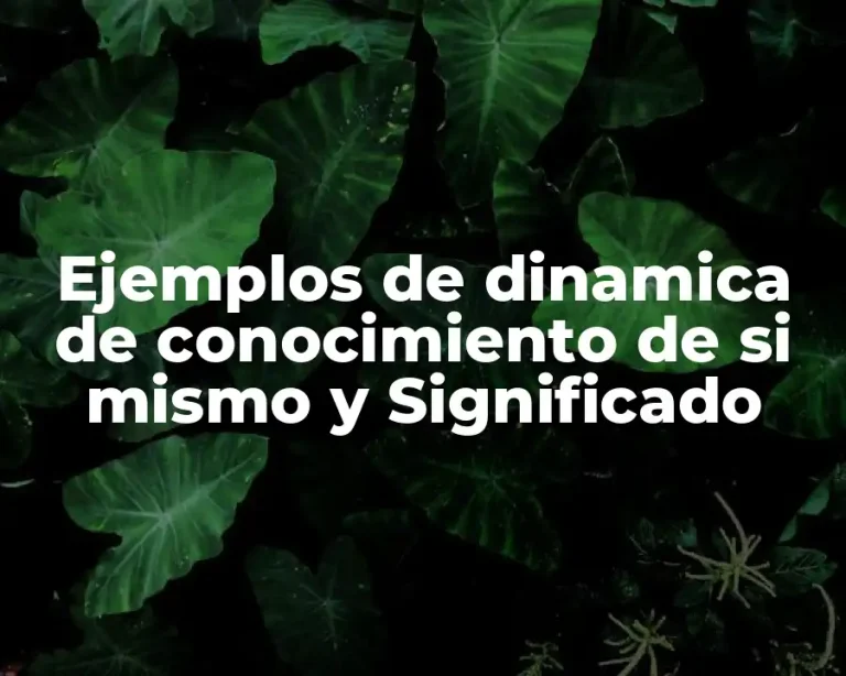 Ejemplos de dinamica de conocimiento de si mismo y Significado