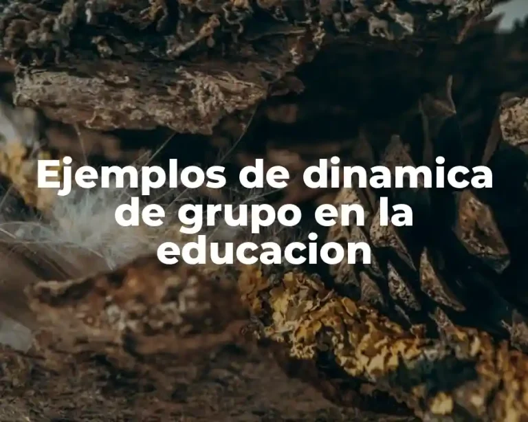 Ejemplos de dinamica de grupo en la educacion