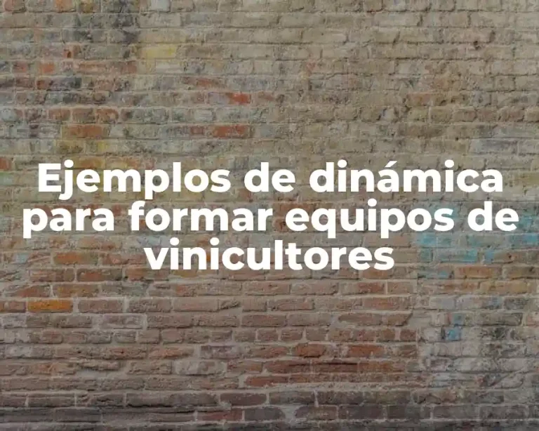 Ejemplos de dinámica para formar equipos de vinicultores