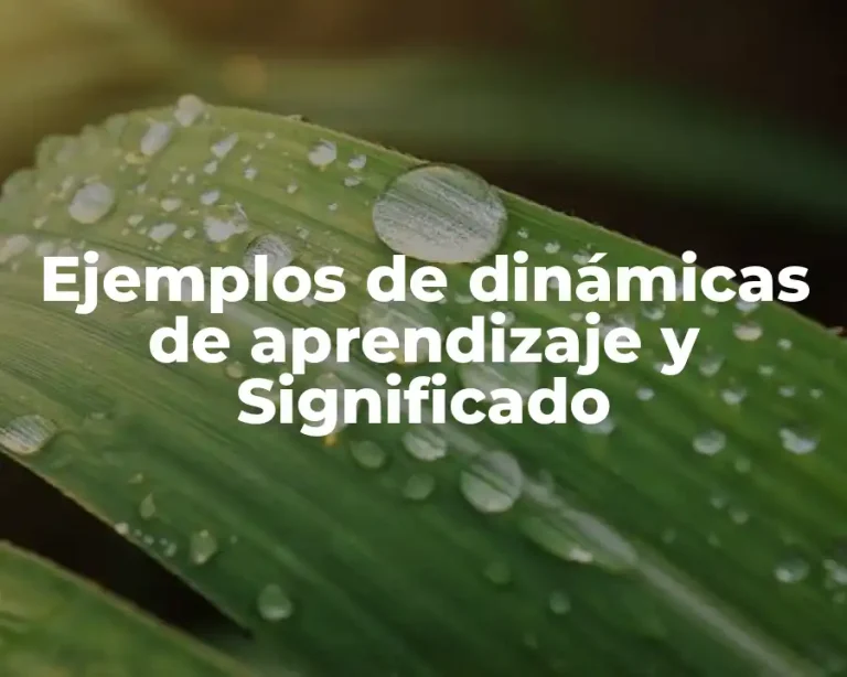 Ejemplos de dinámicas de aprendizaje y Significado