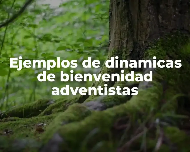 Ejemplos de dinamicas de bienvenidad adventistas