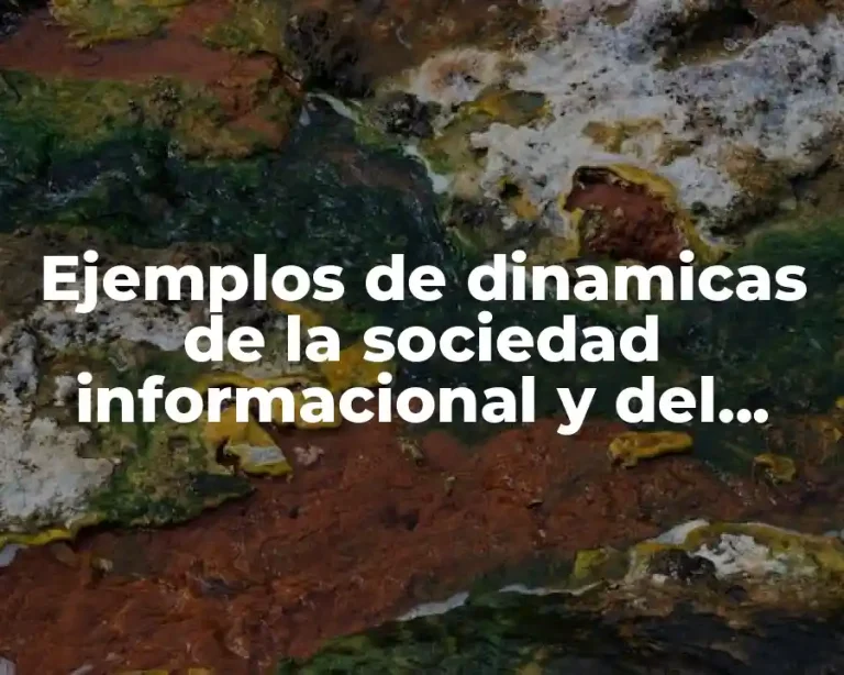 Ejemplos de dinamicas de la sociedad informacional y del conocimiento