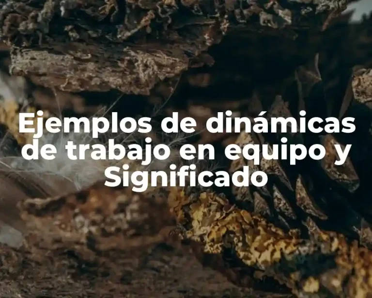 Ejemplos de dinámicas de trabajo en equipo y Significado