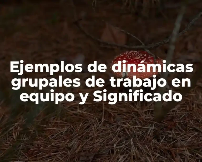 Ejemplos de dinámicas grupales de trabajo en equipo y Significado