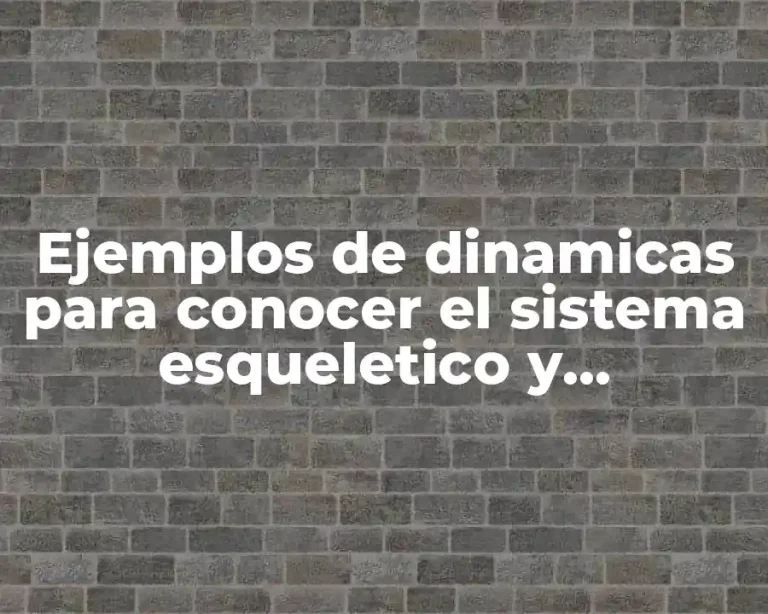 Ejemplos de dinamicas para conocer el sistema esqueletico y Significado