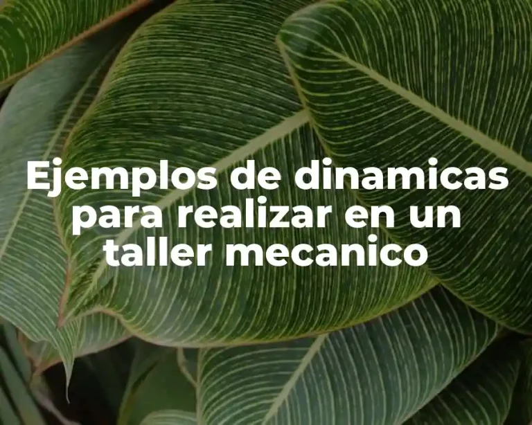 Ejemplos de dinamicas para realizar en un taller mecanico