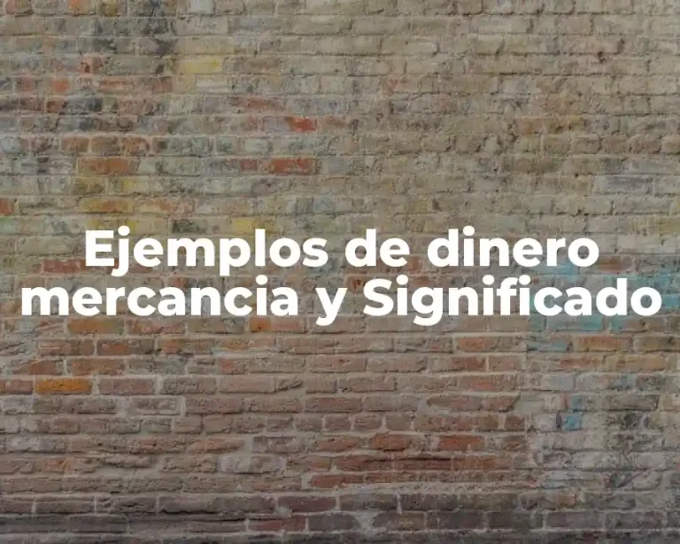 Ejemplos de dinero mercancia y Significado