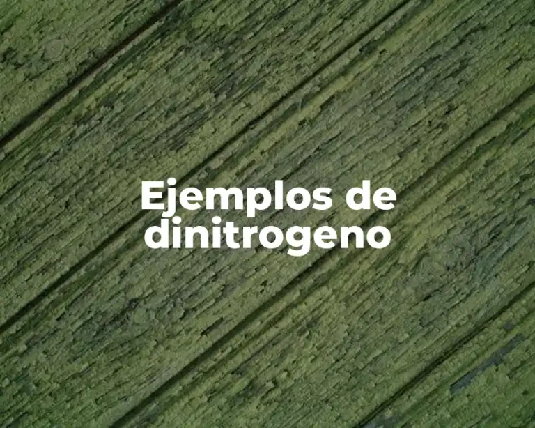 Ejemplos de dinitrogeno